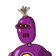 guest
